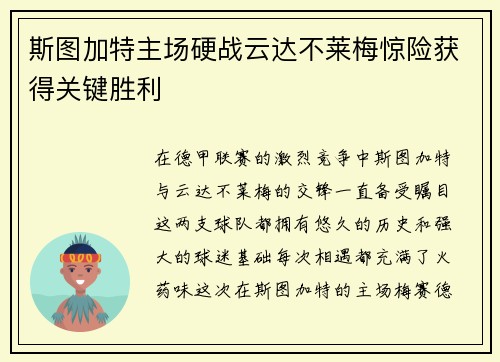斯图加特主场硬战云达不莱梅惊险获得关键胜利